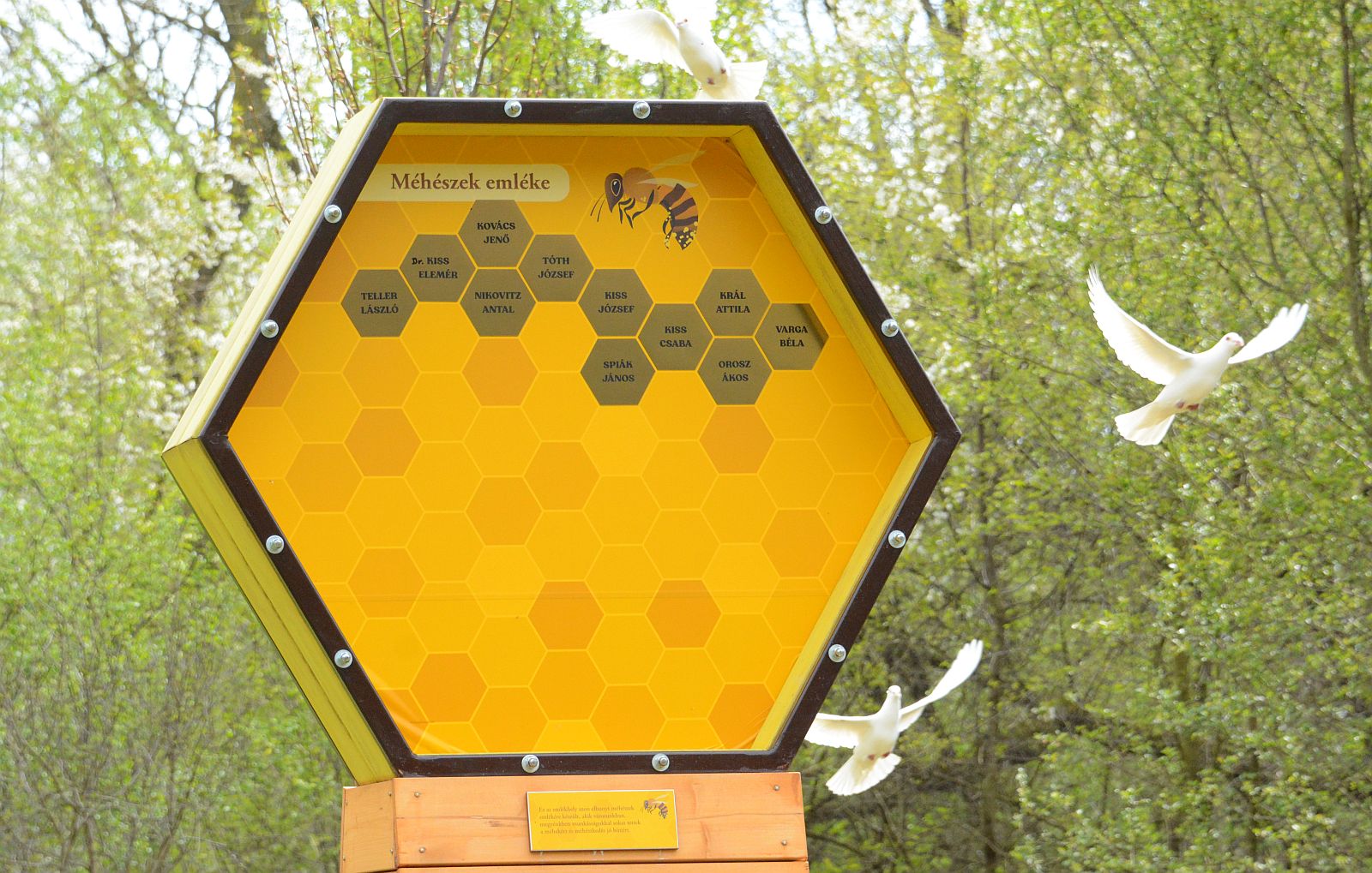 Felavatták a Beporzók rétjét a Sóstó Természetvédelmi Területen